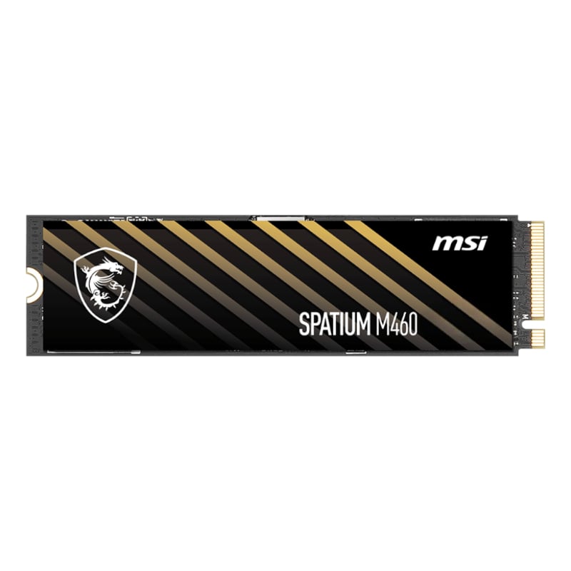 M460M2NVME1TB_wr_01a