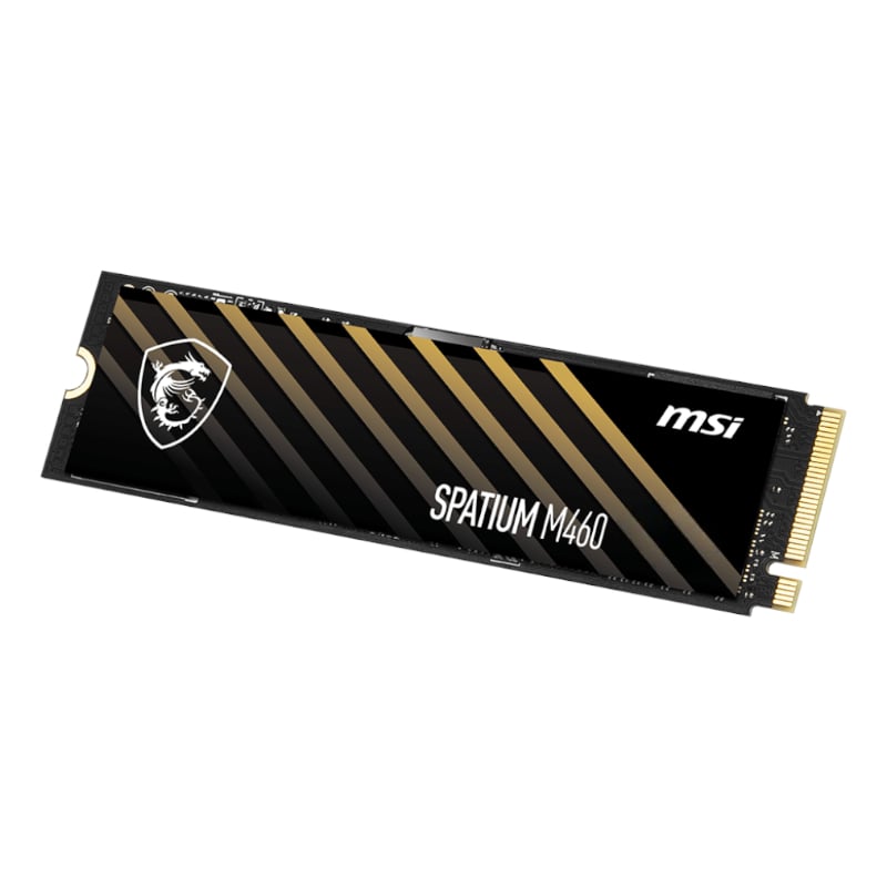 M460M2NVME1TB_wr_04a